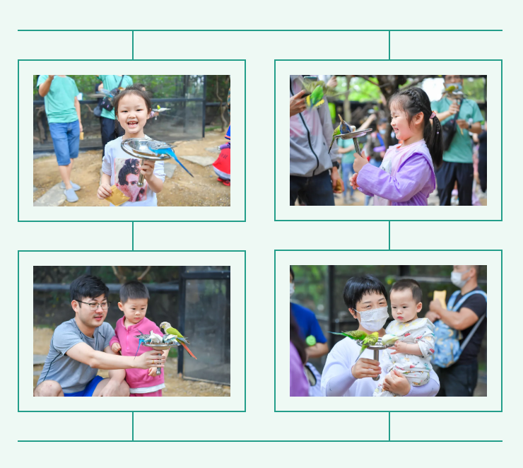 365Ӣ()޹˾-Official website