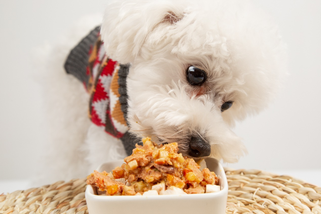 365Ӣ()޹˾-Official website