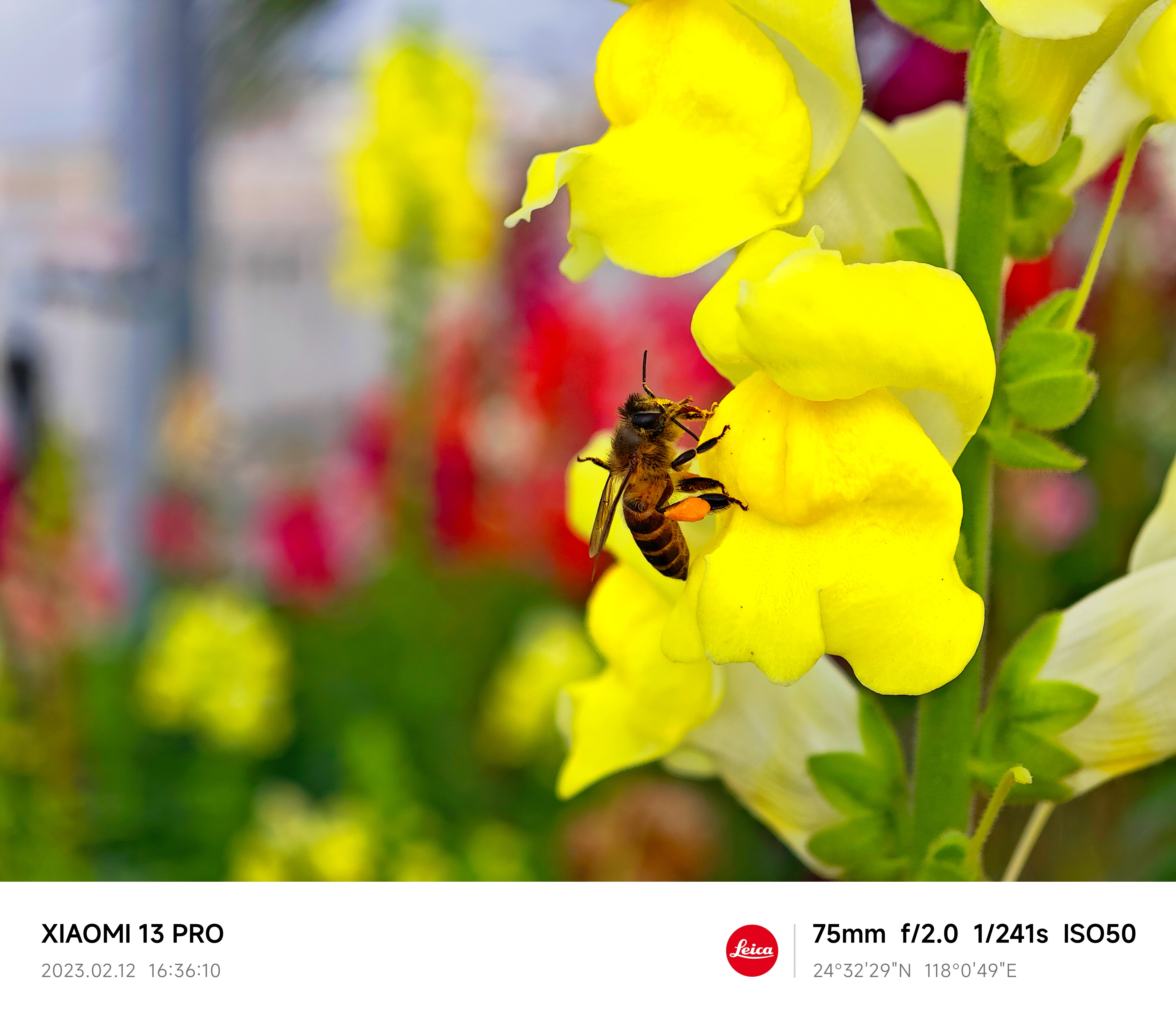 365Ӣ()޹˾-Official website