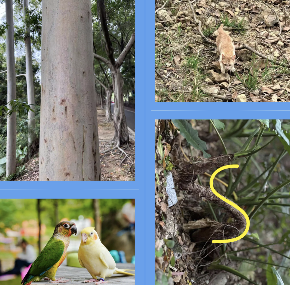 365英国上市(集团)有限公司-Official website